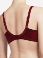 ch_1381_rasberry-bk-1.jpg