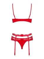 eng_pl_Red-set-with-garter-belt-10335_10