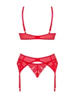 eng_pl_Red-set-with-garter-belt-10736_4