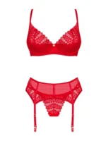 eng_pl_Red-set-with-garter-belt-10736_5 (1)
